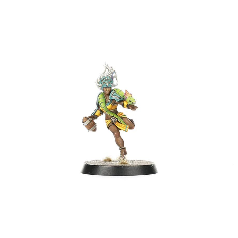 Blood Bowl: Amazon Team - Kara Temple Harpies - Image 3