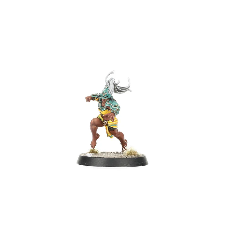 Blood Bowl: Amazon Team - Kara Temple Harpies - Image 8