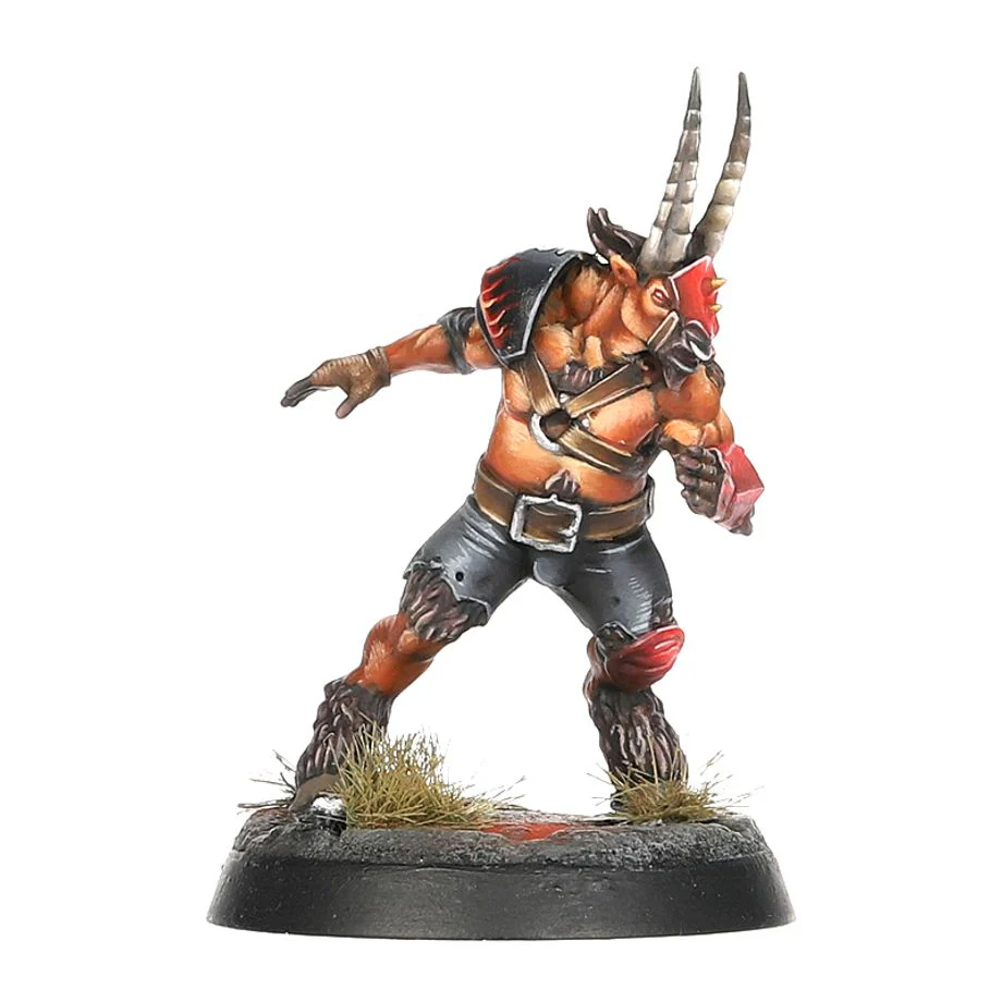 Blood Bowl: Chaos Chosen Team - The Doom Lords - Image 5