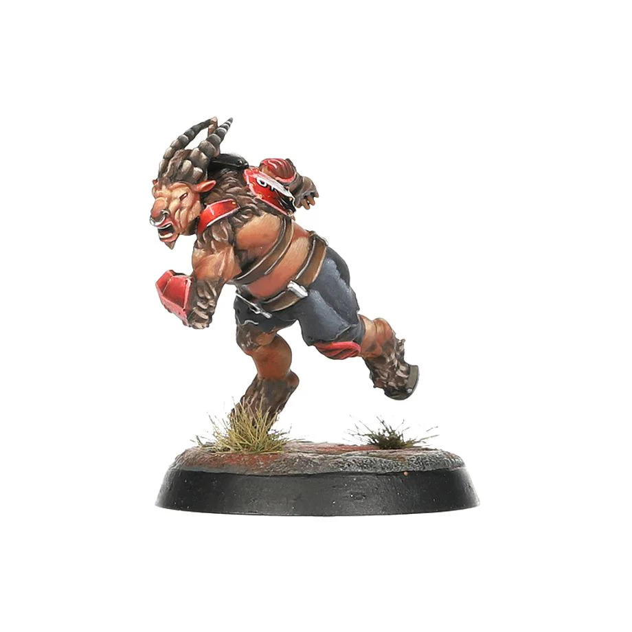Blood Bowl: Chaos Chosen Team - The Doom Lords - Image 7