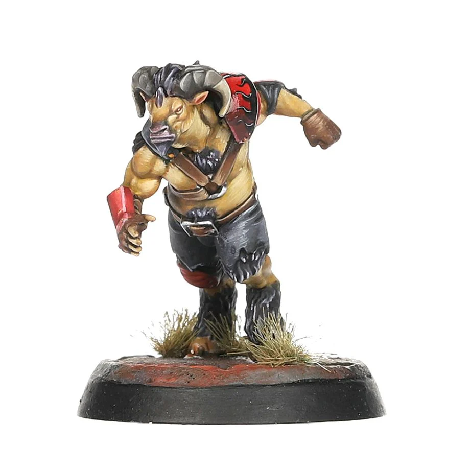 Blood Bowl: Chaos Chosen Team - The Doom Lords - Image 8