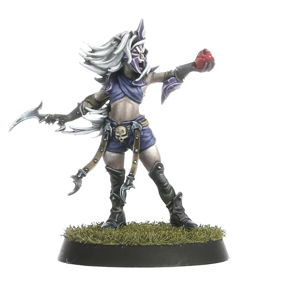 Blood Bowl: Dark Elf Team - Nagaroth Nightmares - Image 4