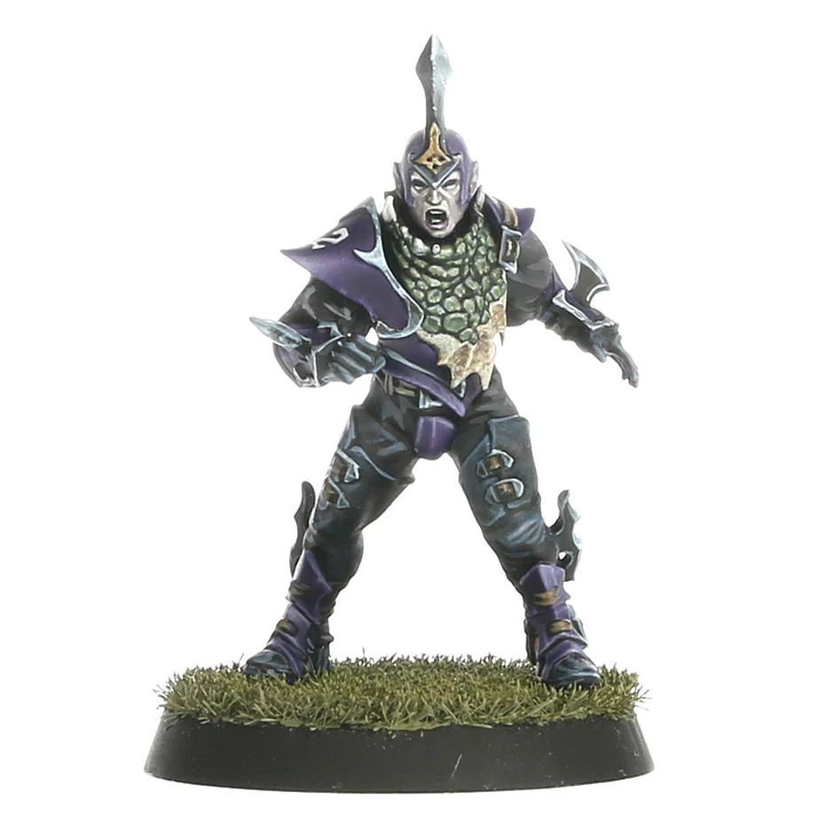 Blood Bowl: Dark Elf Team - Nagaroth Nightmares - Image 5