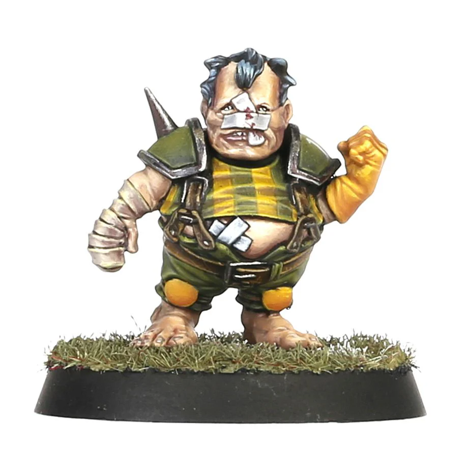 Blood Bowl: Halfling Team - Greenfield Grasshuggers - Image 8