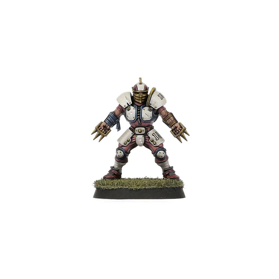 Blood Bowl: Old World Alliance Team - Middenheim Maulers - Image 3