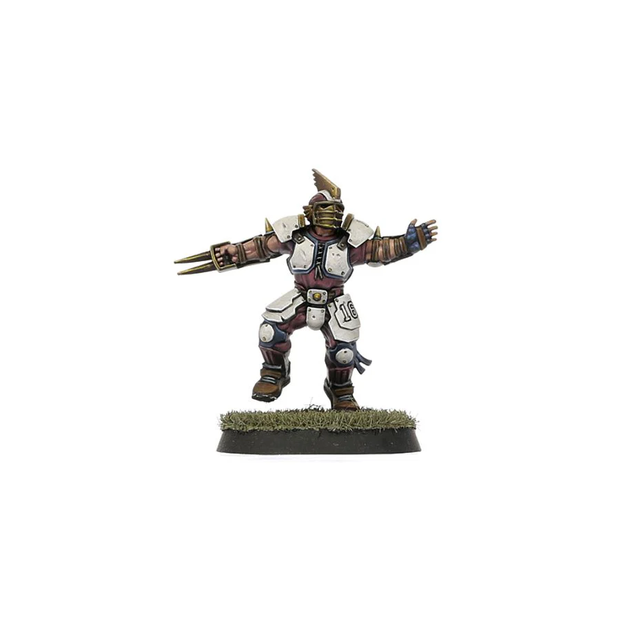 Blood Bowl: Old World Alliance Team - Middenheim Maulers - Image 5