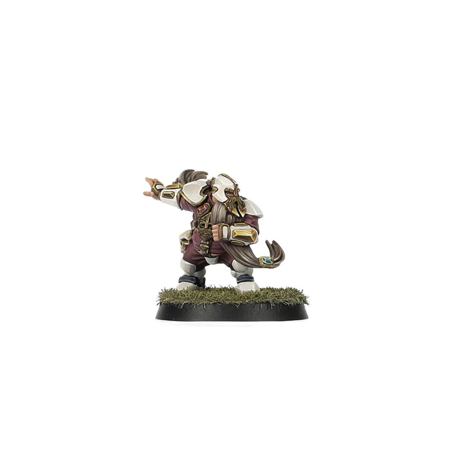 Blood Bowl: Old World Alliance Team - Middenheim Maulers - Image 8