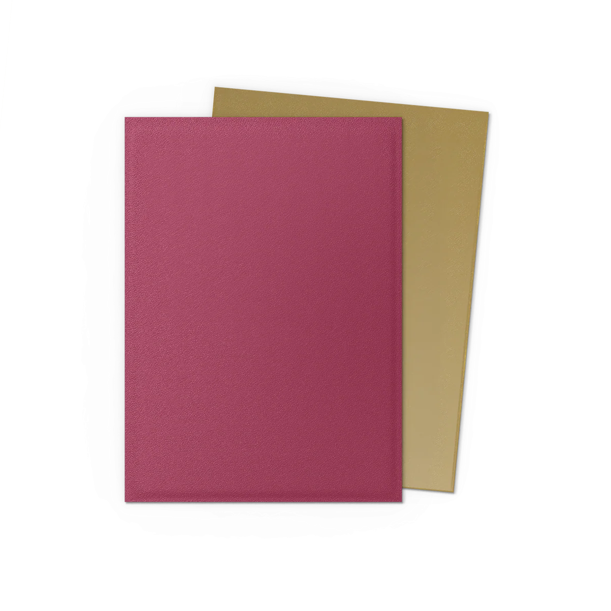 Dragon Shield: Standard 100ct Special Edition - Red Gold - Image 3