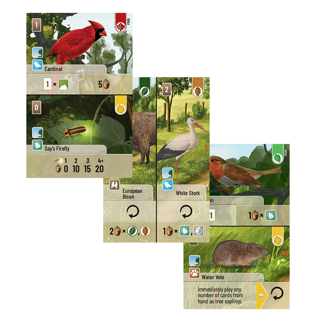 Forest Shuffle: Exploration - Image 3