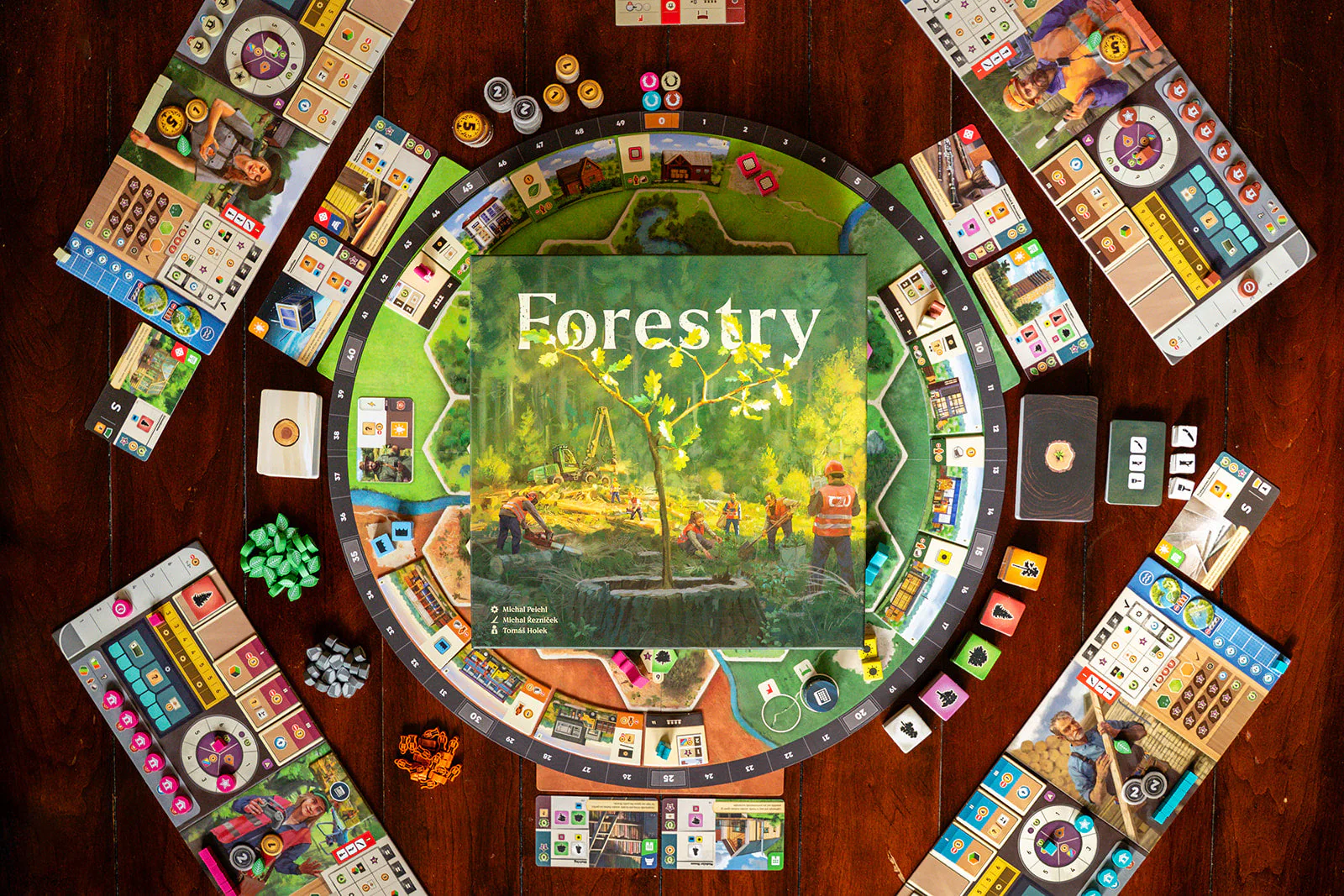 Forestry - Image 3