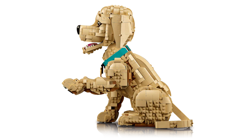 Lego: Icons - Golden Retriever - Image 4