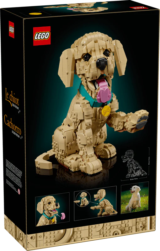Lego: Icons - Golden Retriever - Image 5