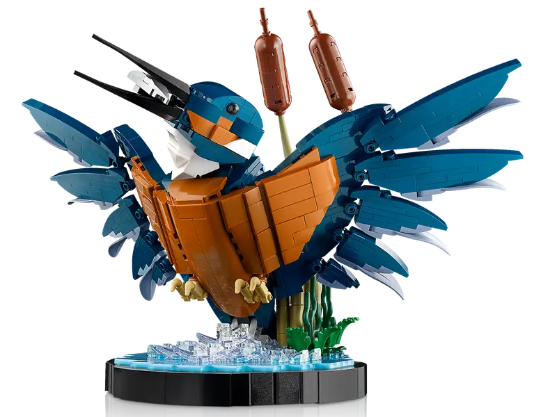 Lego: Icons - Kingfisher - Image 4