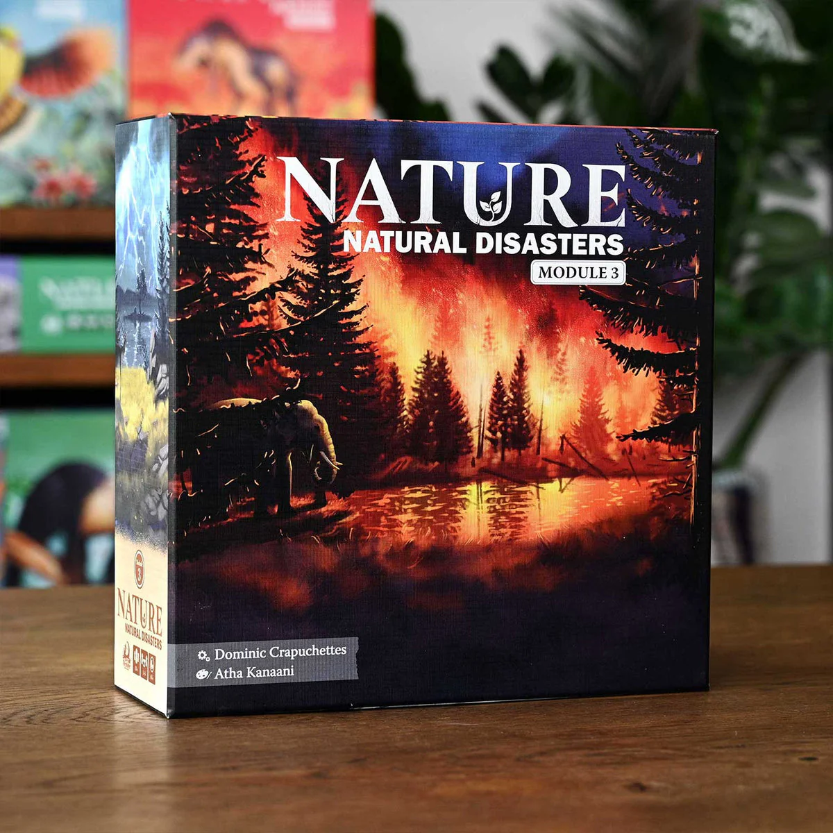 Nature: Module 3 - Natural Disasters - Image 2