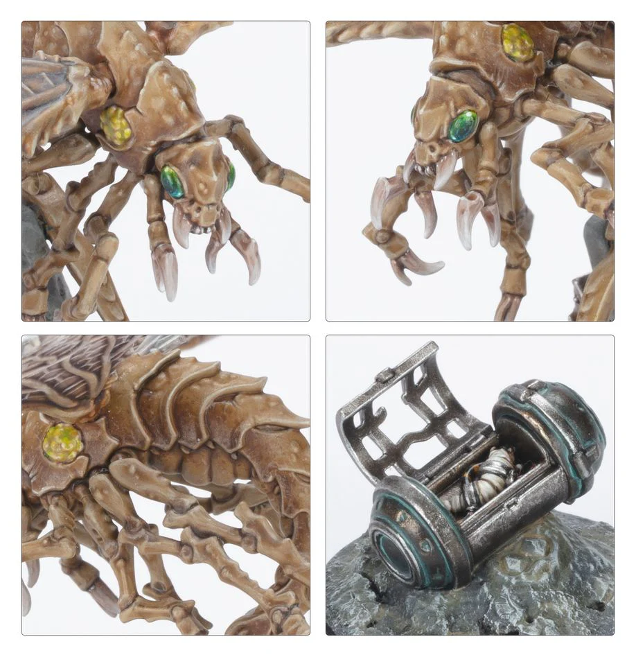 Necromunda: Ash Waste Nomads - Ashwing Helamites - Image 4