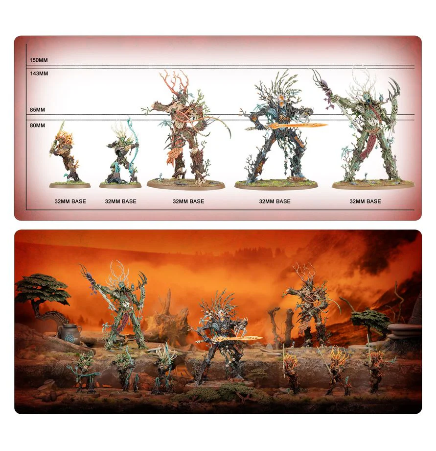 Warhammer Age of Sigmar: Sylvaneth - Strongroot Grove - Image 11